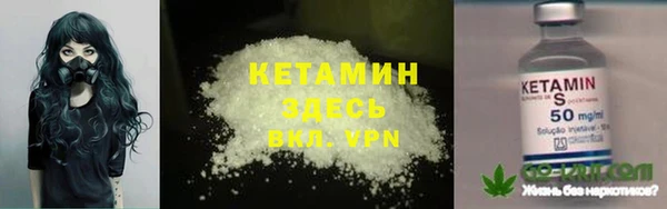 амф Дмитриев
