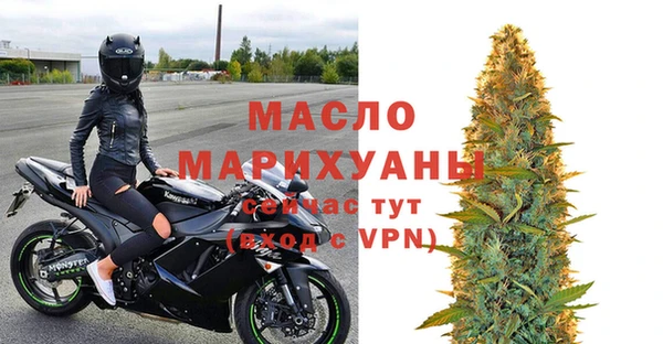амф Дмитриев