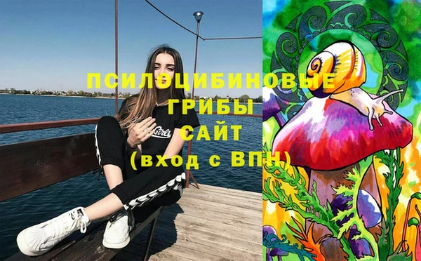 Альфа ПВП Дмитровск