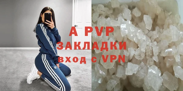 амф Дмитриев