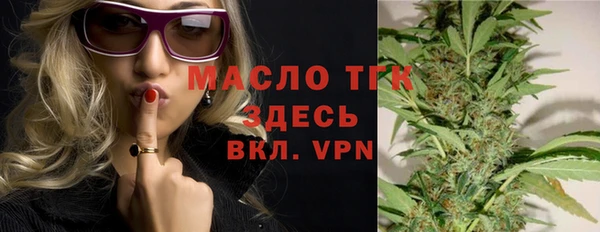 амф Дмитриев