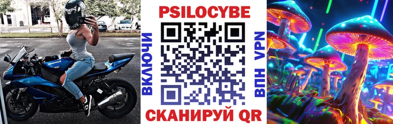 Псилоцибиновые грибы Cubensis  Купить  Петровск 